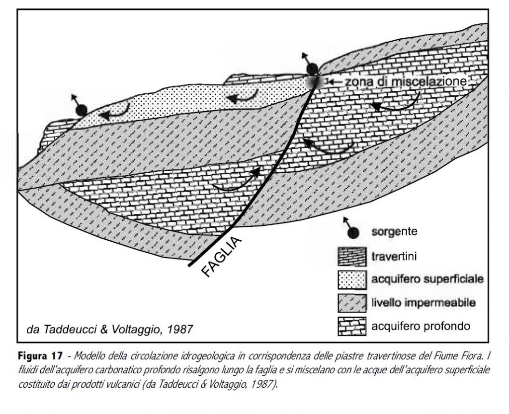 Litogenesi Bassa Valle del Tevere - Sedimentazione